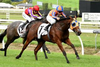 Karaka Million Winner Melody Belle (NZ) Dominates Sires’ Produce Stakes. Photo: Race Images, Palmerston North.